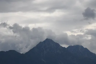 DSC_6394 (Large).JPG